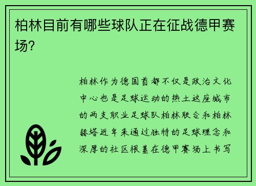 柏林目前有哪些球队正在征战德甲赛场？
